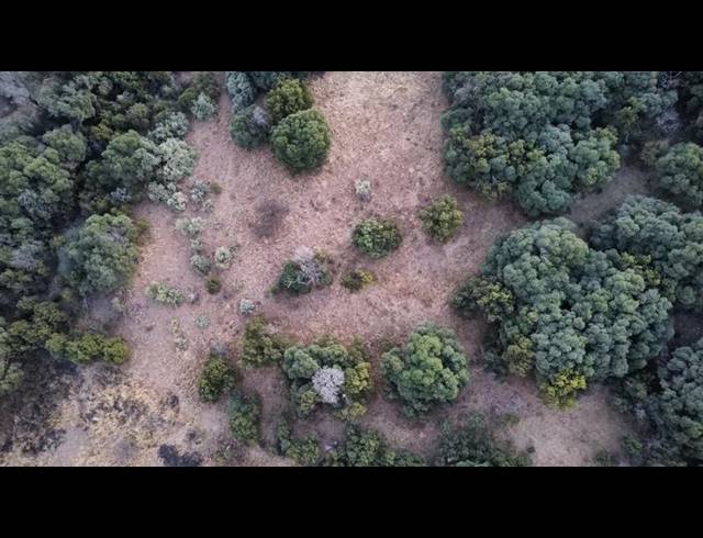 LAND FOR SALE IN XANADU